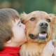 Little boy kiss a dog